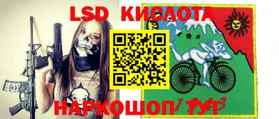 меф Кингисепп