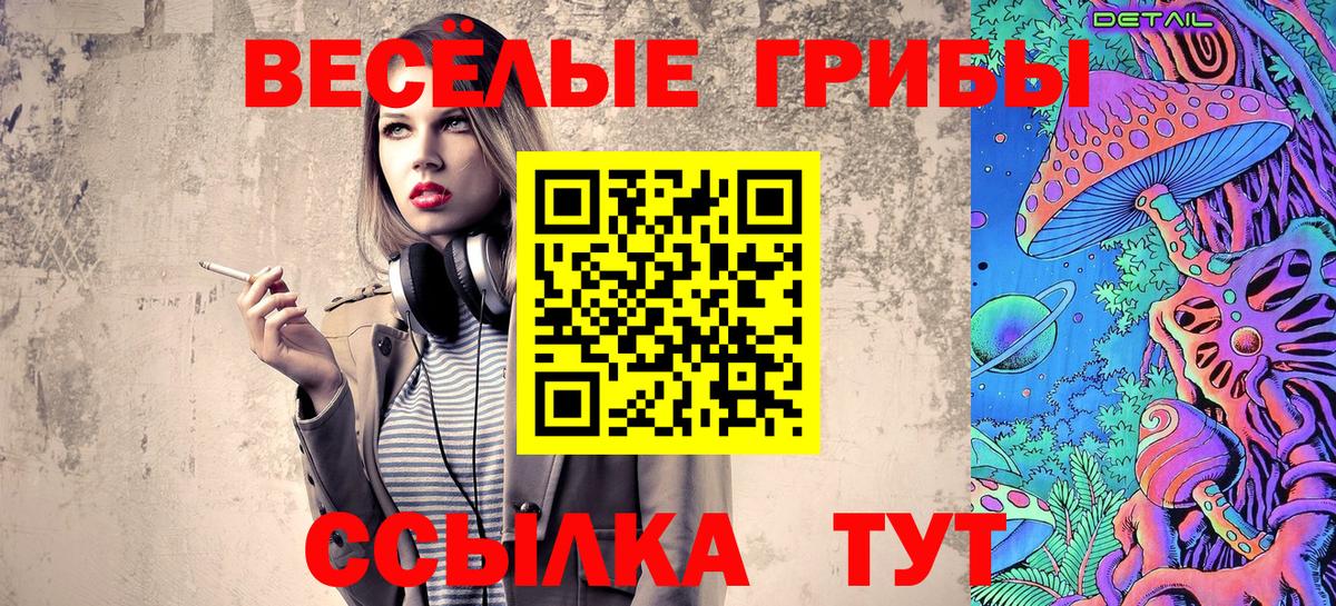 Галлюциногенные грибы мухоморы  Псилоцибиновые грибы Psilocybe  где купить наркотик  Киров  Вход с VPN 