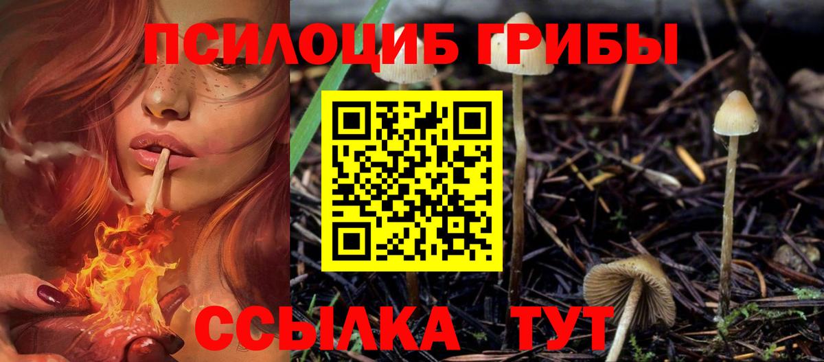 Псилоцибиновые грибы ЛСД Киров
